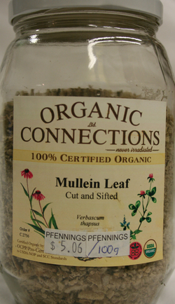Mullein Leaf - C/S
